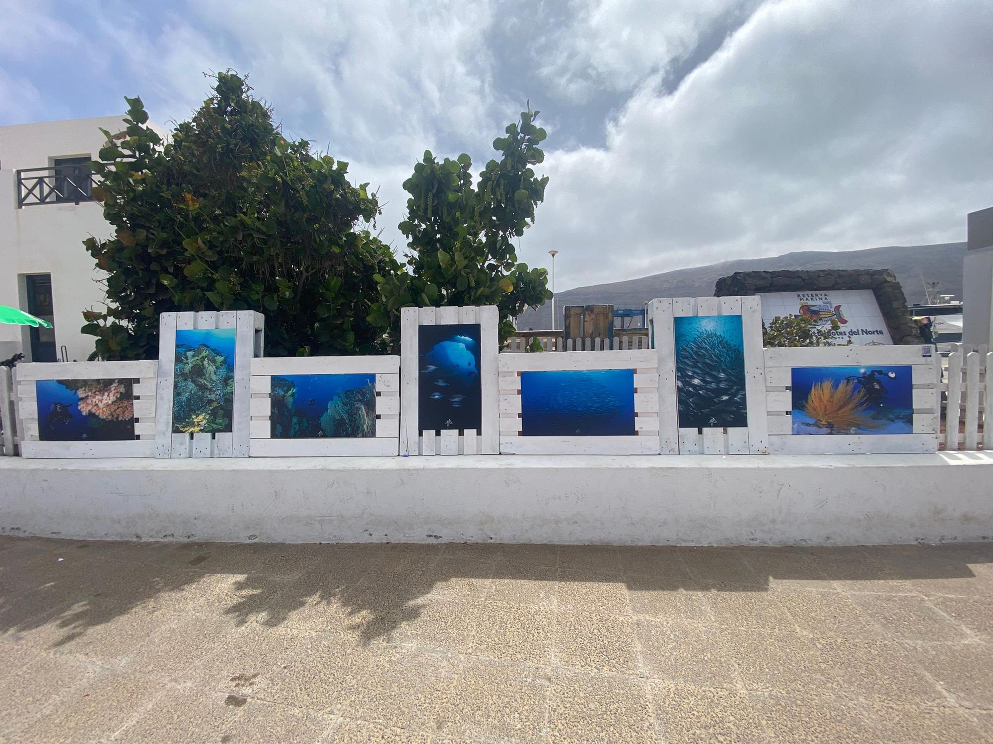 Exposición La Graciosa bajo el mar