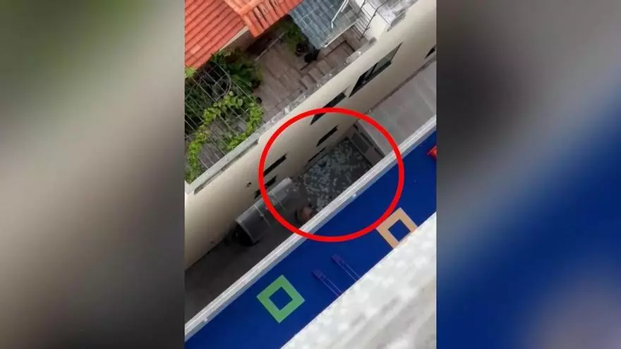 Lanzan por la ventana una maleta con 70.000 euros en un operativo anticorrupción