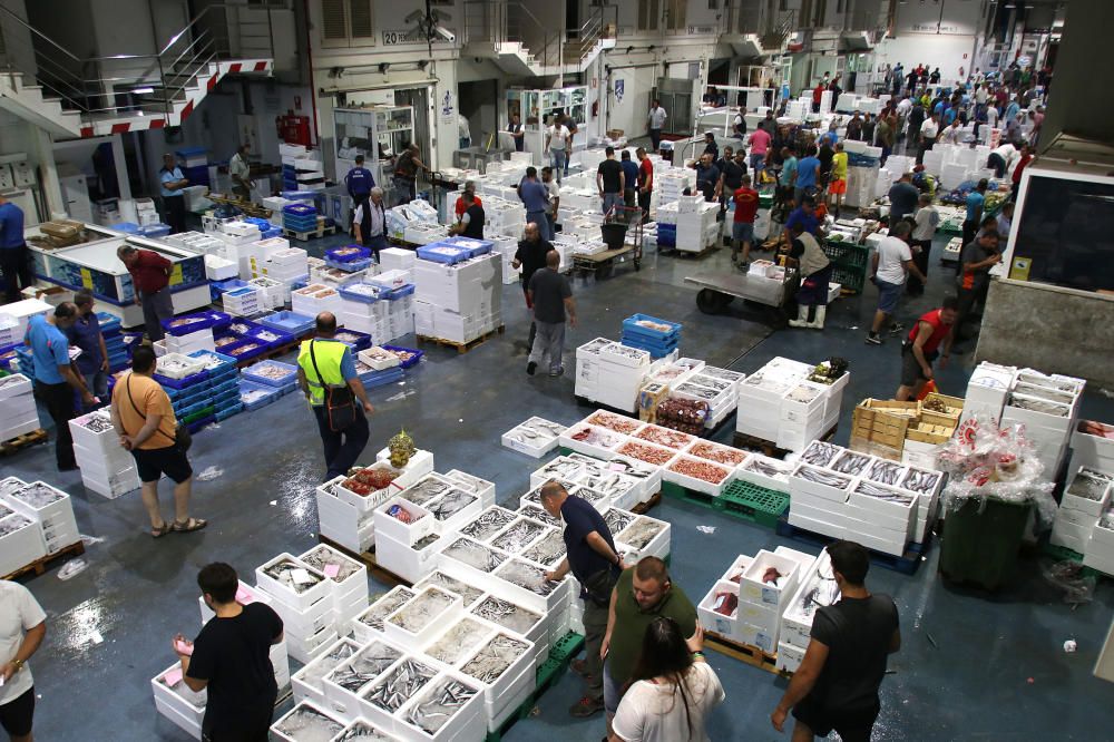 Así es un día de trabajo en la pescadería de Mercamálaga