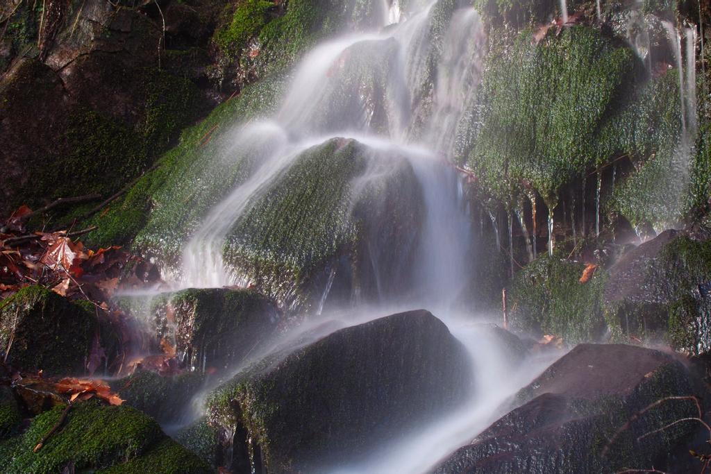 Valle de Cabuerniga, Ucieda, Cantabria