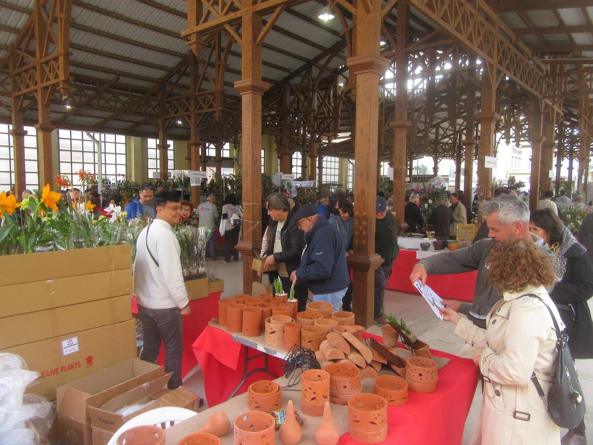 Apertura de la Feria de la Orquídea 2025 en Burjassot.