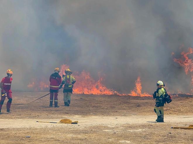 Las imágenes del incendio declarado en el cauce del río Vinalopó en pleno casco urbano de Sax