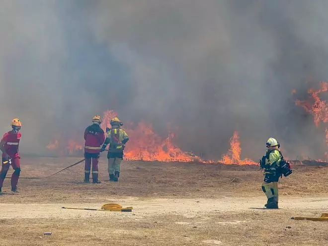 Las imágenes del incendio declarado en el cauce del río Vinalopó en pleno casco urbano de Sax