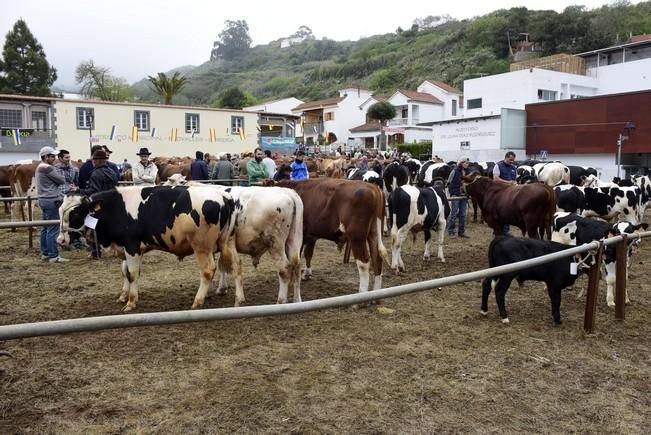 Día grande de las fiestas de San Vicente Ferrer ...