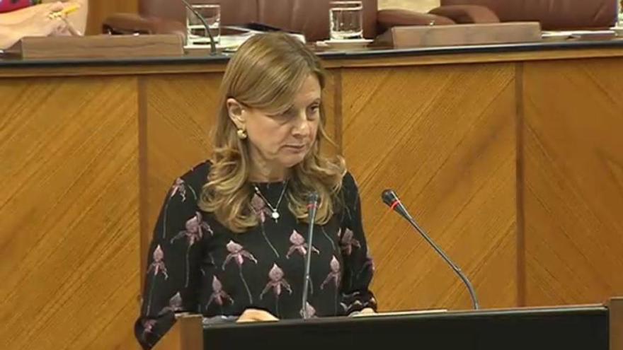 La consejera de Sanidad, Marina Álvarez, en el Parlamento.