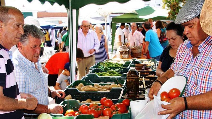 La IX Feria Comarcal de Huerto de Monesterio se regirá por la normativa covid de los mercadillos