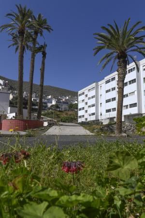 LAS PALMAS DE GRAN CANARIA  06-02-2019  LAS PALMAS DE GRAN CANARIA.  Palmeras en el solar en donde Hiperdino proyecta construir un supermercado y reconstruir la Iglesia de La Vega de San Jose.  FOTOS: JUAN CASTRO  | 06/02/2019 | Fotógrafo: Juan Carlos Castro