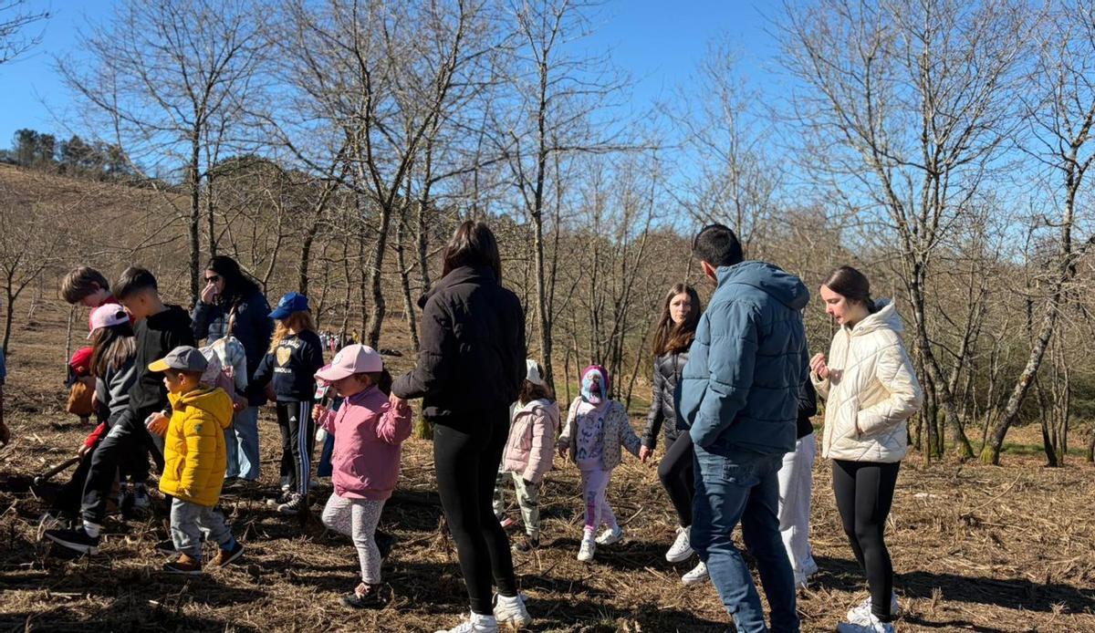 Los alumnos del CPI de Rodeiro visitan el Monte de Pereira |