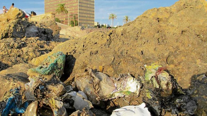 Plásticos semiquemados recogidos en la costa de Palma