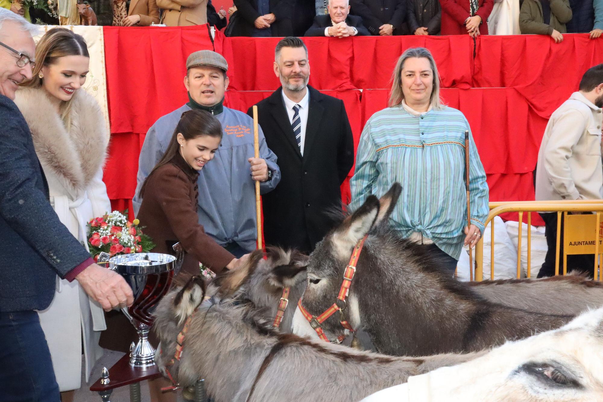 Perros policía y animales de granja completan el desfile de Sant Antoni en València