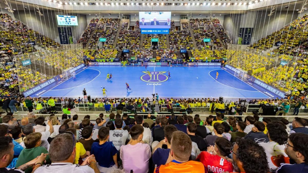 El Palacio de los Deportes de Granada, espectacular