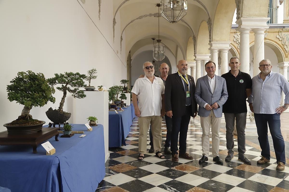 La exposición de bosáis de primavera de la Diputación de Córdoba, en imágenes