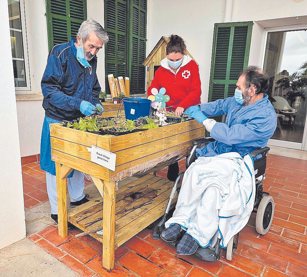 Dos pacientes del Joan March se afanan en una de sus cinco mesas de cultivo.