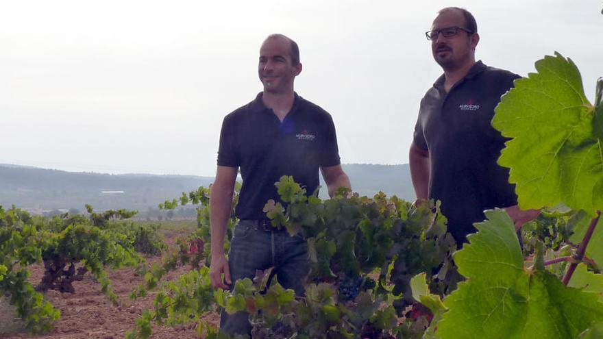 Murviedro proyecta la construcción de una microbodega en Requena