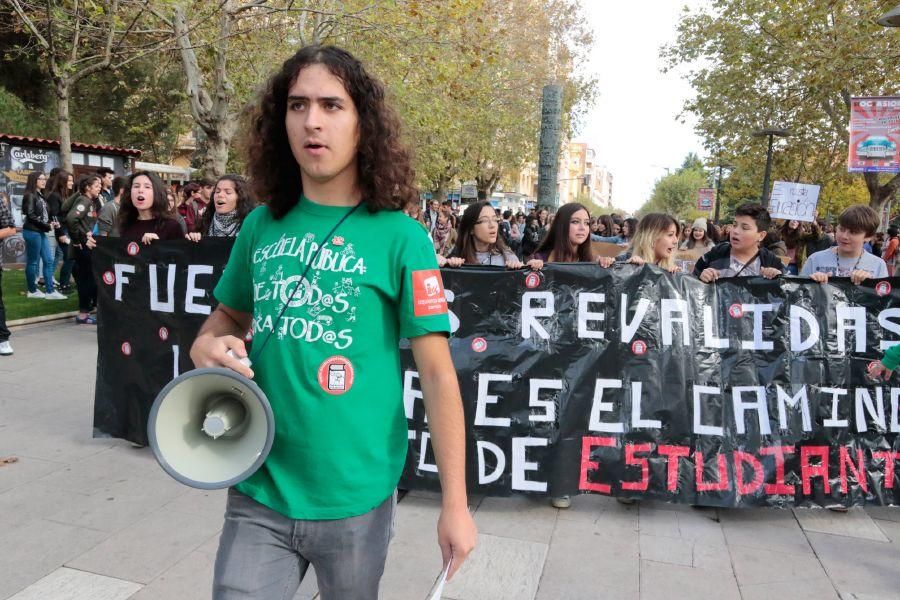 Manifestación contra la LOMCE en Zamora