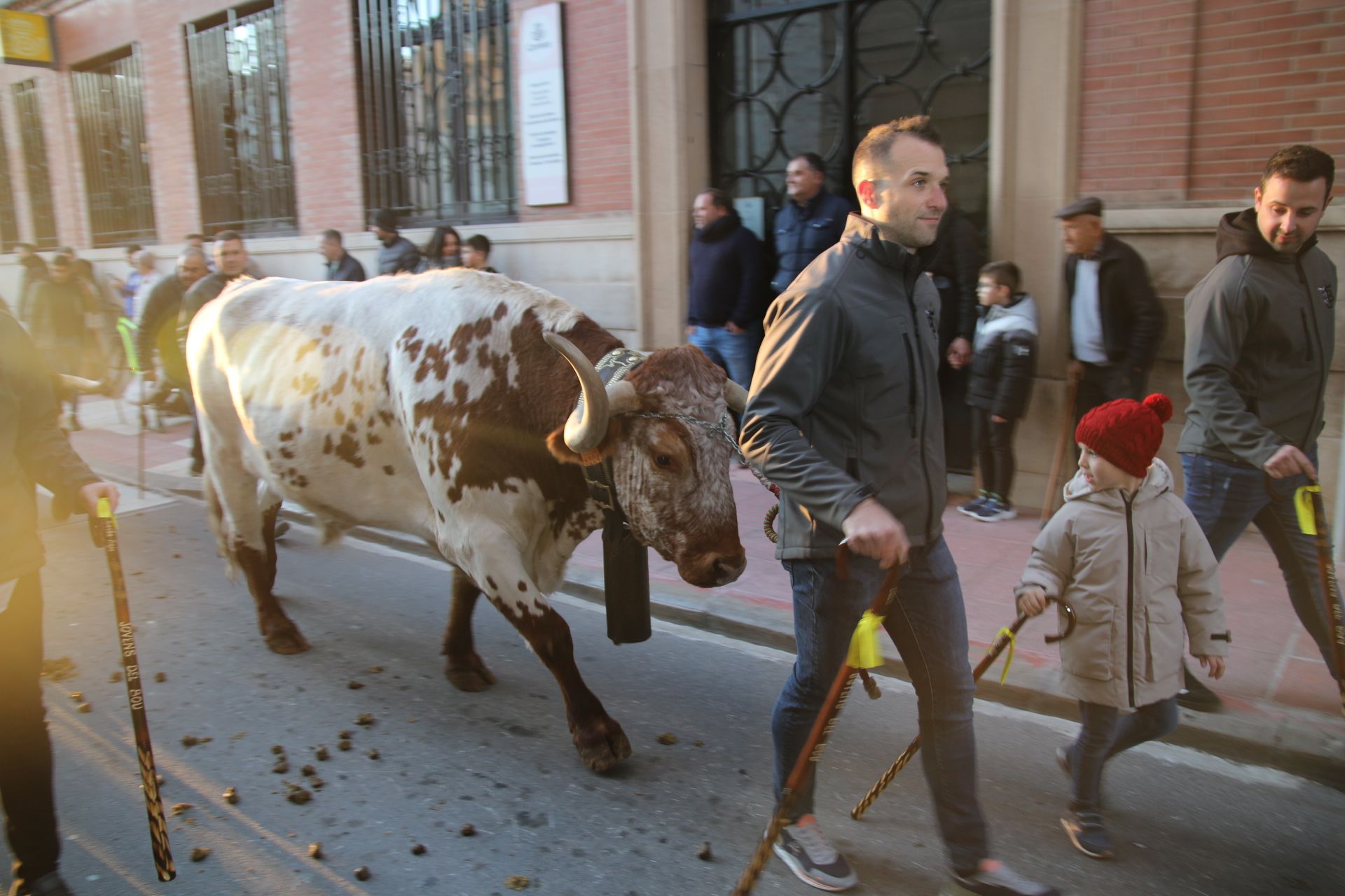 Las mejores imágenes de la festividad de Sant Antoni en Burriana