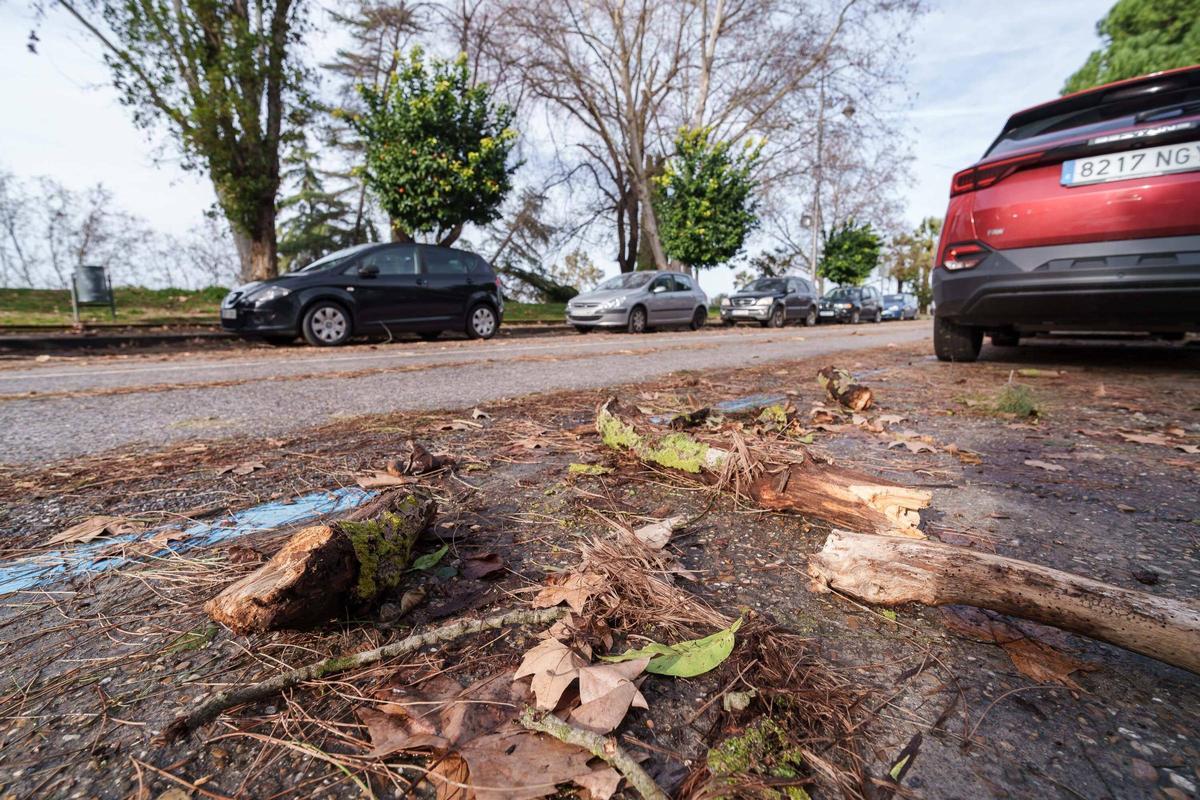 Daños causados por el vendaval.