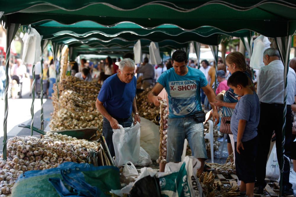 San Pedro 2016: Feria del Ajo