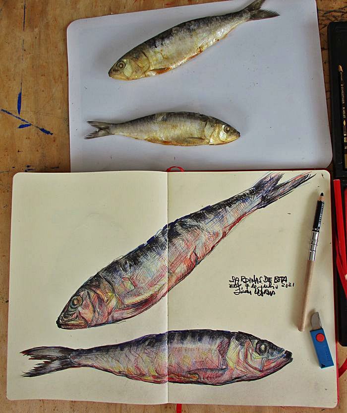 Dibujos a doble página de frutas, verduras y pescados, realizados con distintas técnicas