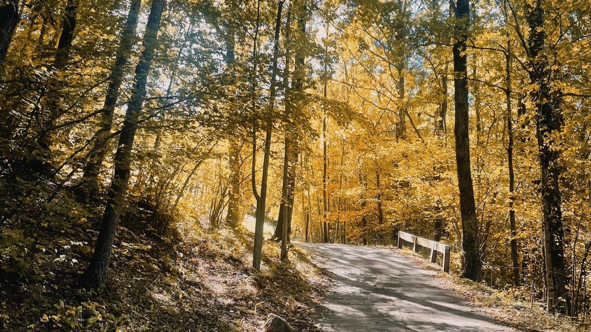 Las mejores excursiones desde Barcelona para dar la bienvenida al otoño