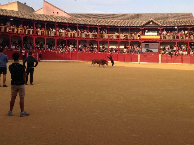 Fiestas Toro: Encierro urbano y suelta de vaquilla