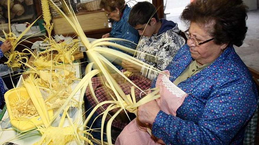 Los artesanos de la palma blanca están ya trabajando a marchas forzadas para realizar los ramos rizados que viajarán a otras poblaciones españolas