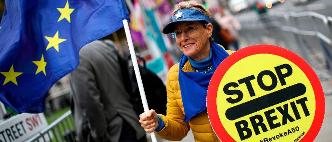 Una manifestante &#039;antibrexit&#039; protestaba ayer ante el Parlamento británico en Londres.