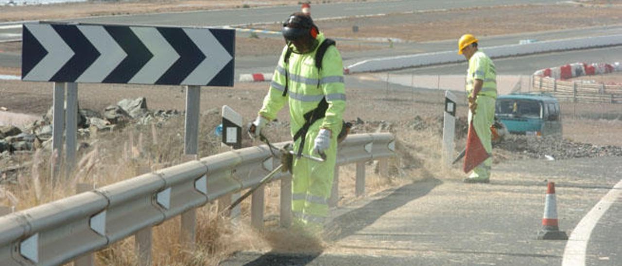 Operarios de carreteras del Cabildo eliminan restos vegetales en una carretera del sur de Gran Canaria.