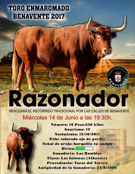 Toro Enmaromado 2017: Razonador