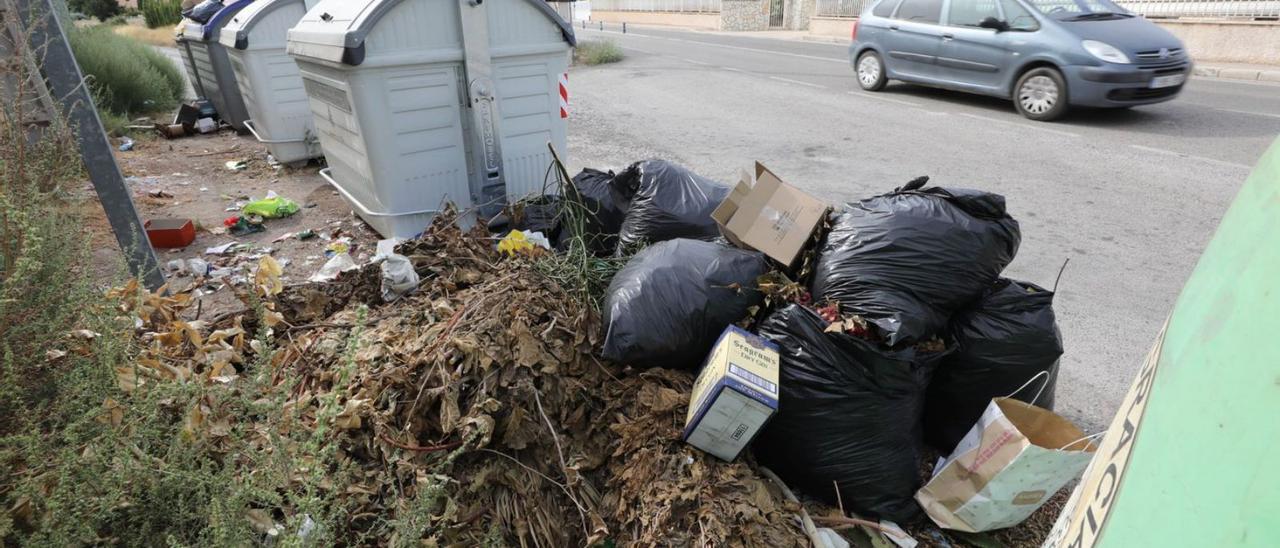 Santa Pola quiere reducir el abandono de enseres, podas y excrementos -  Información