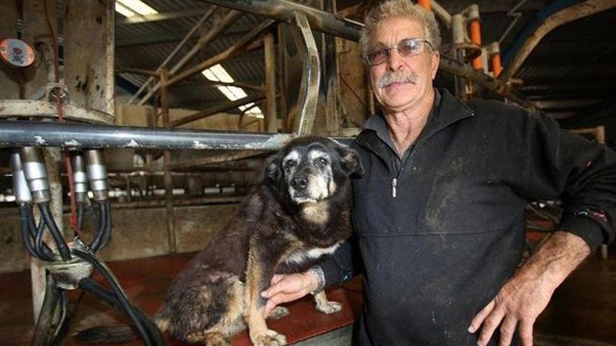 Muere el considerado como el perro más viejo del mundo