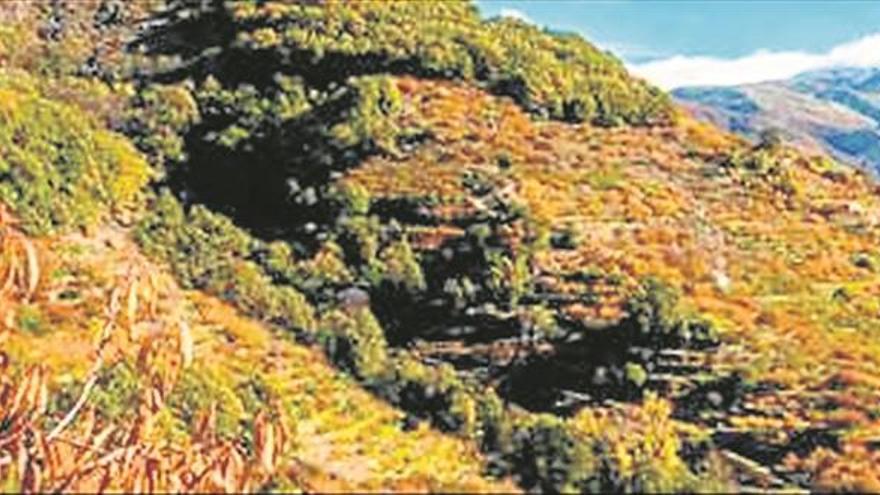 el valle del jerte da la bienvenida a la otoñada