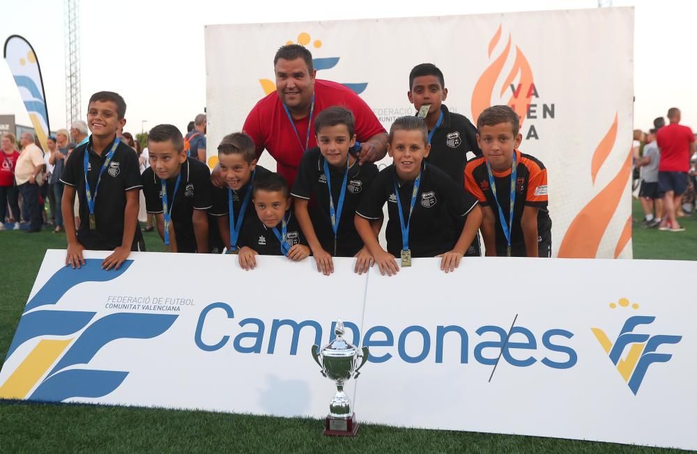 Campeones futbol 8