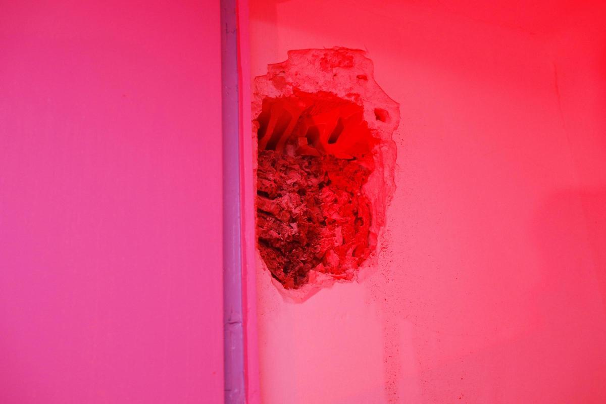 El nido de avispas, a la vista tras abrir un agujero en la pared.