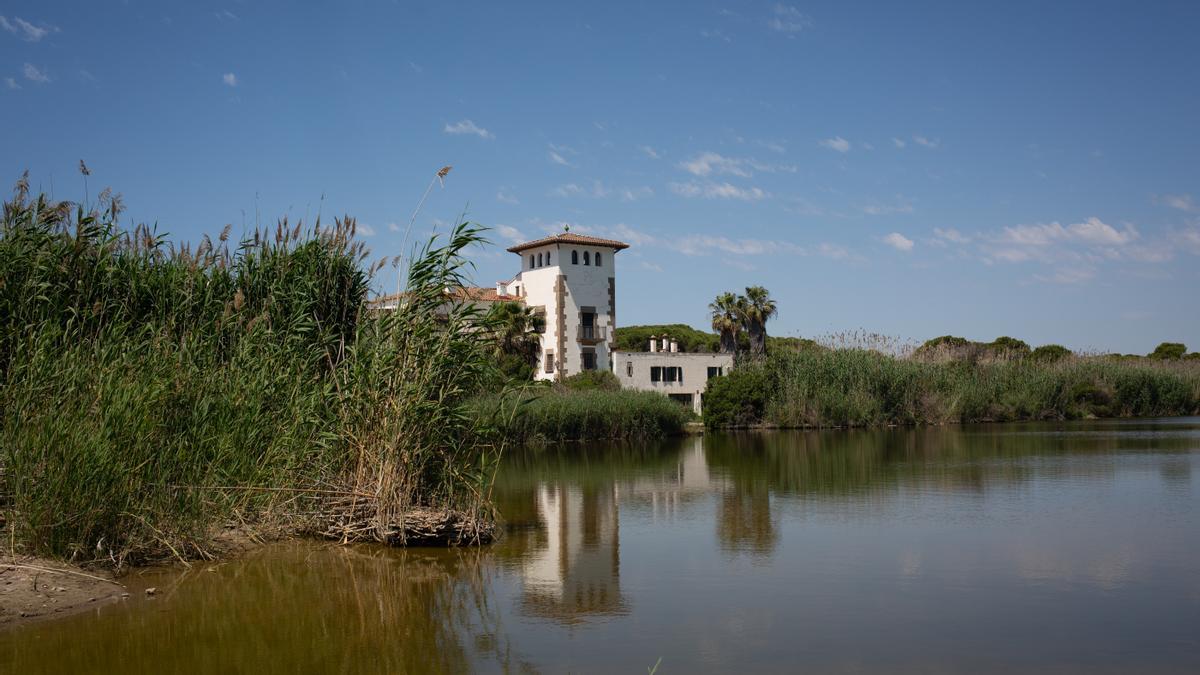 La Ricarda, espacio protegido por donde se quiere colocar la tercera pista del Prat.