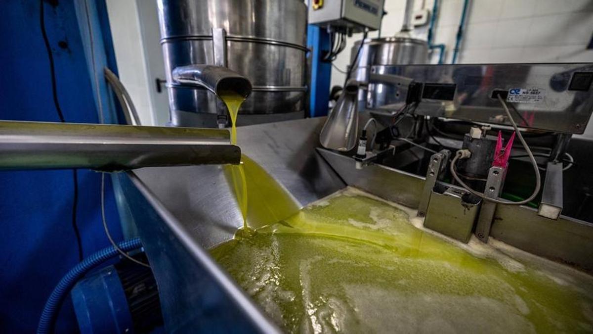 El preu de l’oli d’oliva ja és un 23% més barat en origen El preu de l’oli d’oliva ja és un 23% més barat en origen