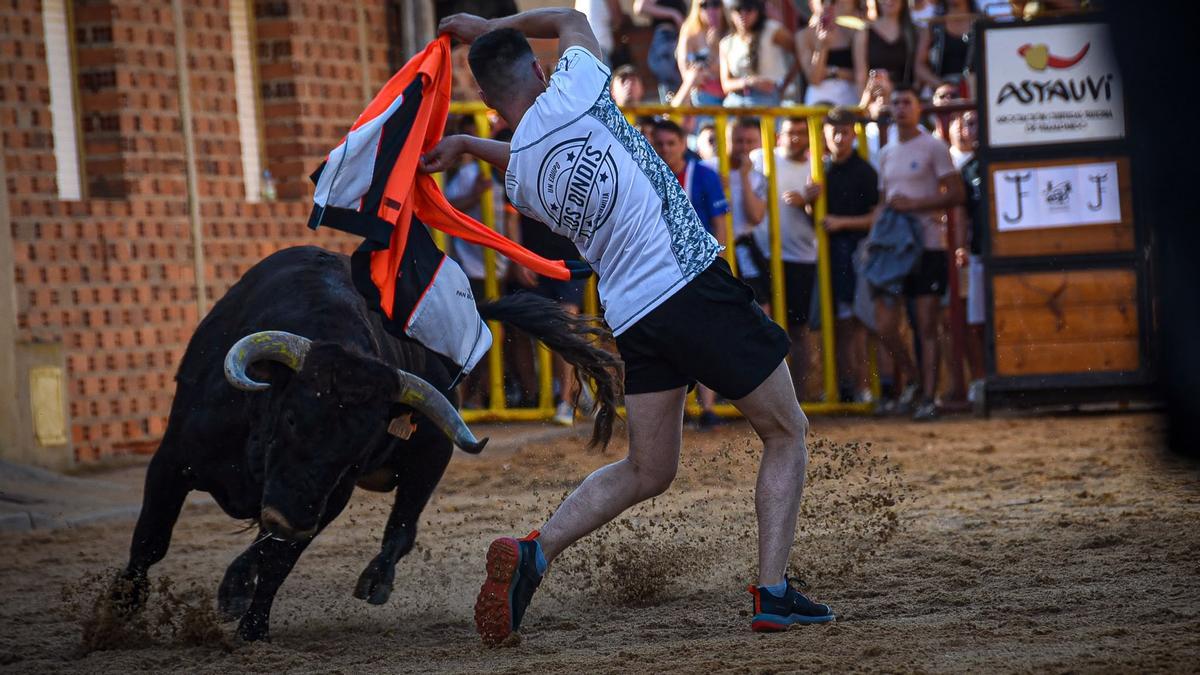 La fiesta taurina de Villanueva de Azoague, en imágenes La fiesta taurina de Villanueva de Azoague, en imágenes
