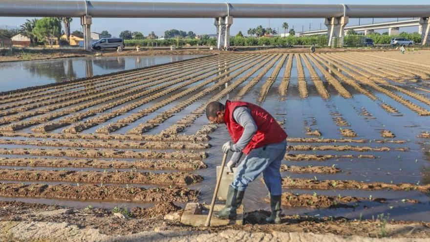 Un agricultor riega frente a los tubos del trasvase Tajo-Segura.