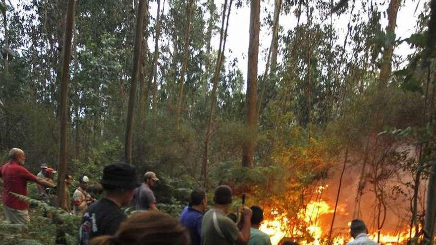 Incendio este verano en Arbo. // Marcos Canosa