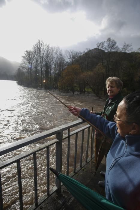 Aspecto del río Narcea a su paso por Laneo (Salas)