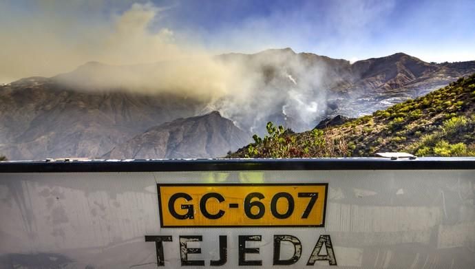 TEJEDA. Incendio en La Cumbre, cuenca de Tejeda.  | 11/08/2019 | Fotógrafo: José Pérez Curbelo