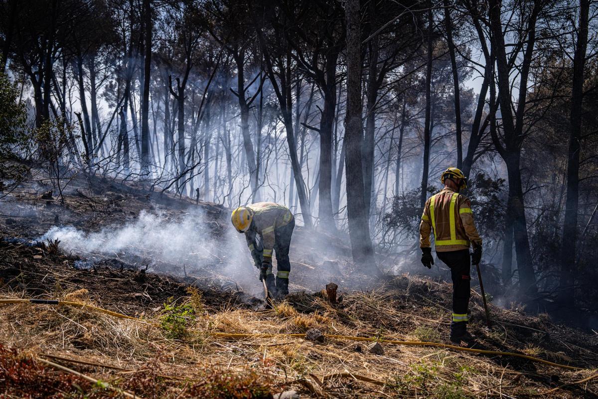Los Bombers confían en perimetrar pronto el incendio forestal en Gavà que ha obligado a confinar a 6.000 personas