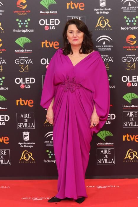 Alfombra roja de los Premios Goya 2020.