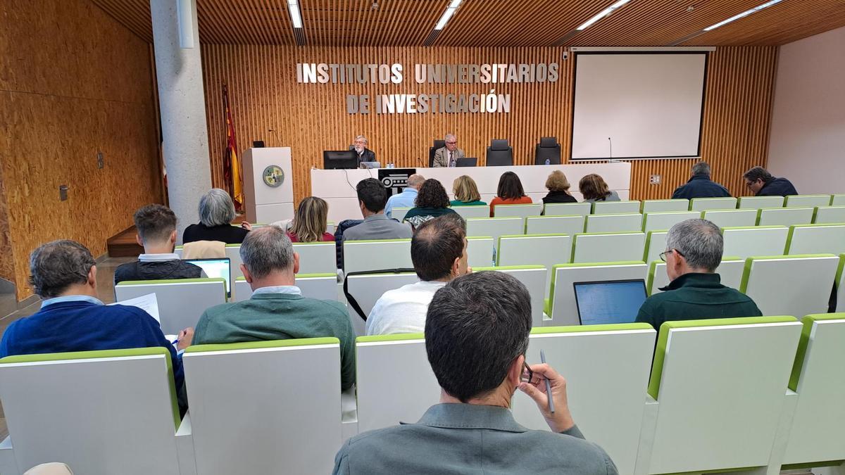 El Consejo de Gobierno de la UEx, reunido ayer en Cáceres, aprobó el nuevo calendario del curso 2024-2025.