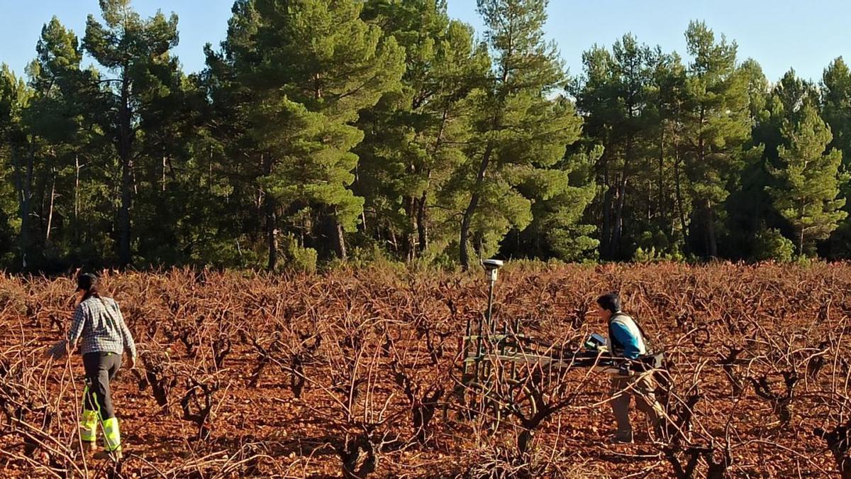 Uno de los arqueólogos pasa el manetómetro sobre el Campo de Herrerías (Sinarcas), donde se ubica un taller de metalurgia. | UV