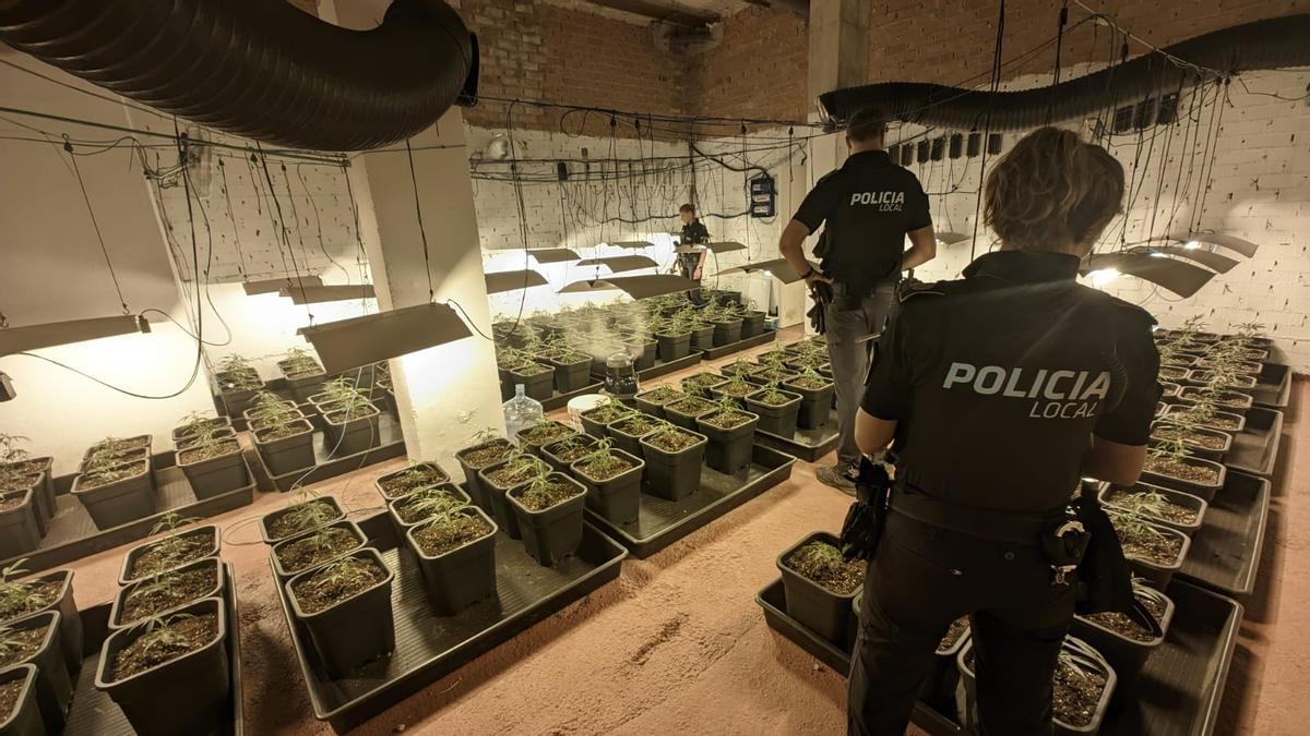 Descubren un criadero de marihuana al convertir el piso de los vecinos en un 'infierno'