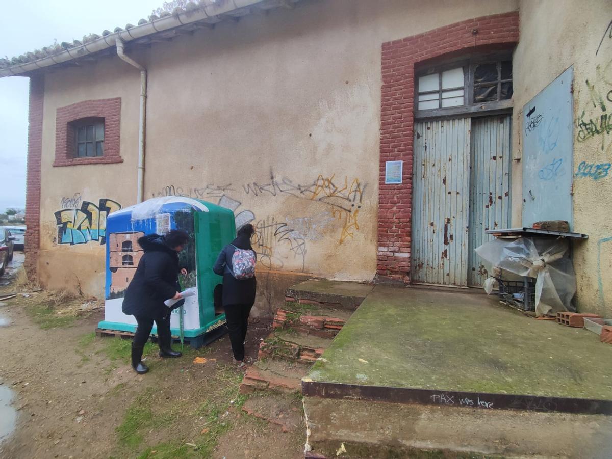 El único refugio para gatos que existe en la ciudad es un contenedor de vidrio en el camino de la ría.