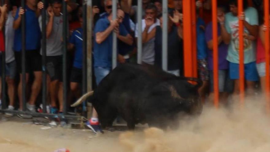 Un toro hiere a un hombre en Torrechiva