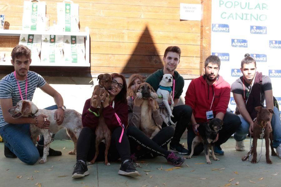 Concurso de perros en La Aldehuela