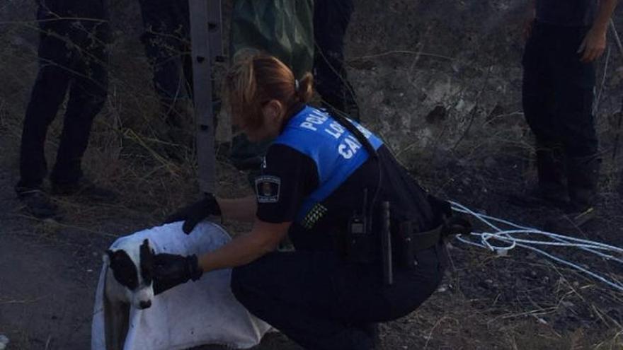 Rescatan a un perro de un embalse